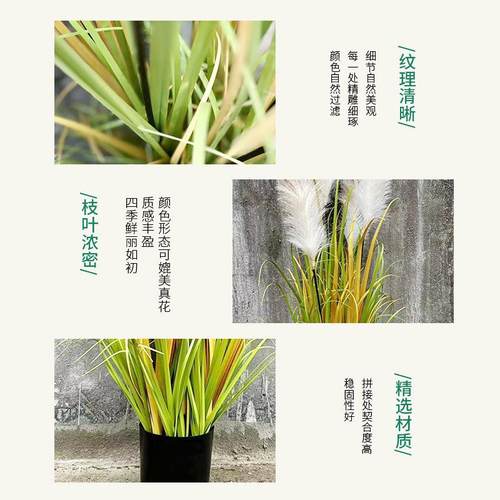 仿真植物仿真绿植仿真芦苇洋葱草仿真草工厂现货三头芦苇人造植物