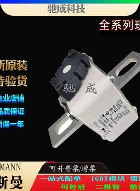 巴斯曼170M6653 170M6658 170M6659 厂家原装厂价直供 快速保险丝