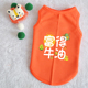 猫咪衣服小狗狗衣服夏季 背心网眼透气小幼猫布偶猫蓝猫防掉毛 薄款