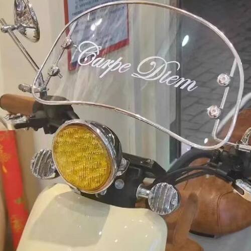 台铃电动车挡风板萌苏/玉兔