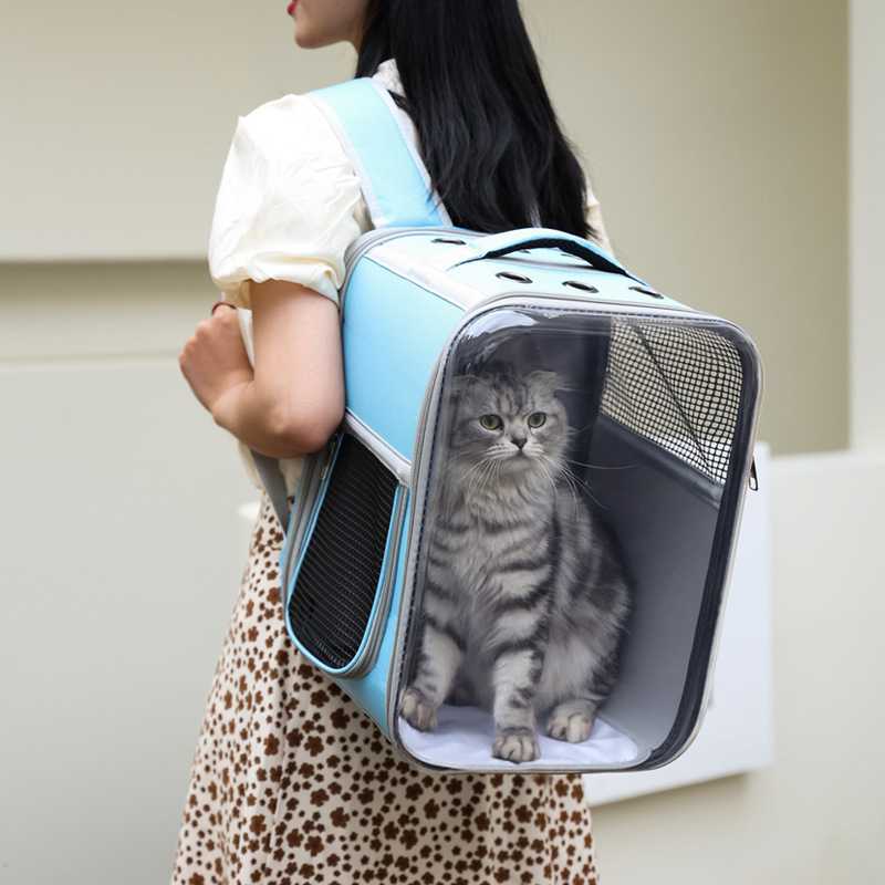 透明双肩猫包外出宠物包大容量