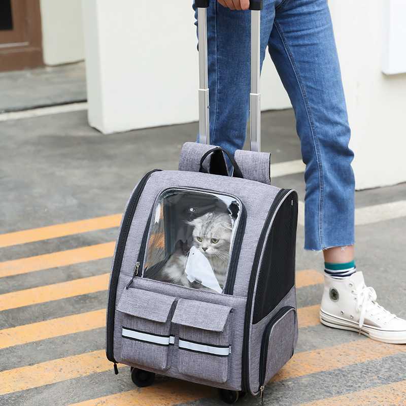 直供宠物猫包外出手提夏天双肩大