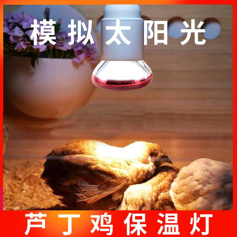 极速保温灯养殖取暖灯泡宠物小太阳养殖场小仔猪用U保温烤灯芦丁