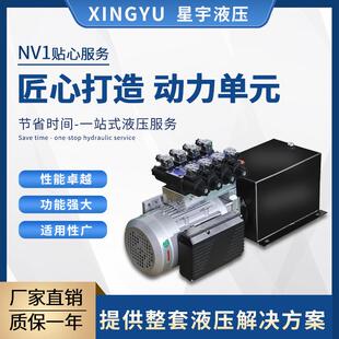 液压动力单元总成220V小微型双向液压泵站电动升降平台油缸