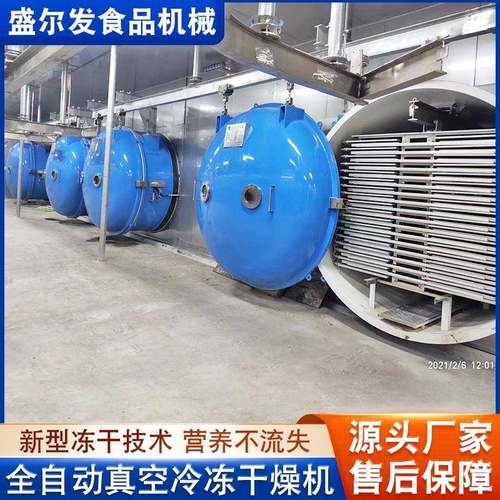 不锈钢即食海参真空冷冻干燥机蛋黄鸡肝真空冷冻干机设备大型