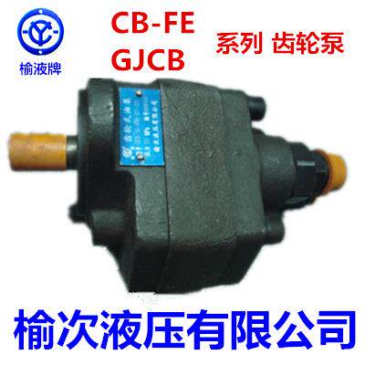 DEGONG德工齿轮泵CB-FE40E-F2L2-2R 榆次液压有限公司