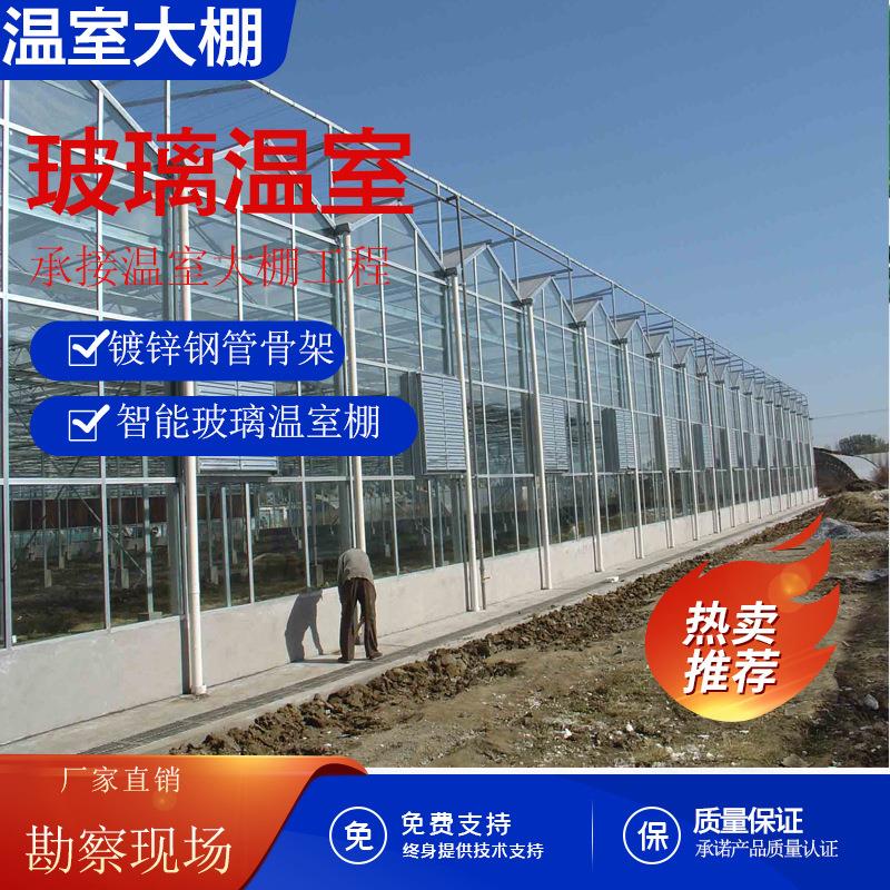 玻璃温室连栋温室大棚蔬菜大棚养殖大棚镀锌钢管大棚骨架农业温室