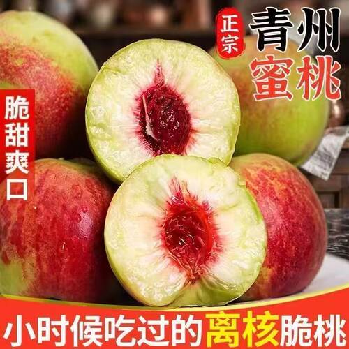 正宗青州蜜桃树苗嫁接脆甜爽口桃树果苗南北方种植当年结果
