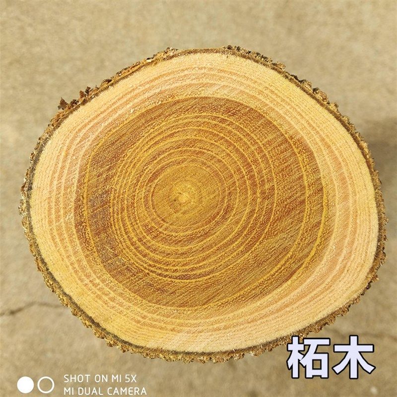 野生柘木原木料北方柘木穿破石DIY手工硬木雕刻实木料柘木棍弓料