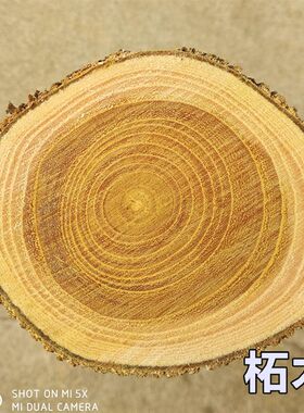 野生柘木原木料北方柘木穿破石DIY手工硬木雕刻实木料柘木棍弓料