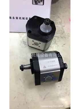 高压齿轮泵CB-E306CB-E310CB-E316锥度齿轮泵高压泵超高压油泵
