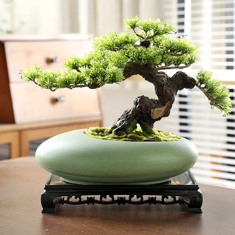 创意个性大口径粗陶透气蝴蝶兰盆景盆栽陶瓷大号多肉文竹兰花花盆,家居饰品,花盆,淘宝优惠券,粉丝福利购,淘宝优惠卷