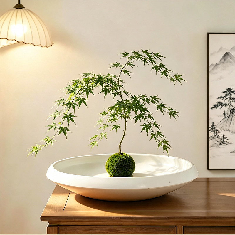 流泉枫花盆陶瓷无孔苔藓球佛手柑专用托盘绿植多肉网红禅意摆件盆