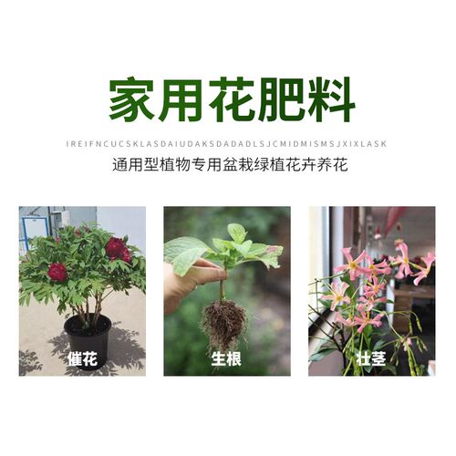 新品以色列海法高钾硝酸钾平衡肥磷酸二氢K钾大量元素水溶肥复合