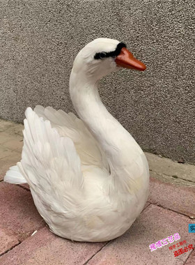 极速仿真羽毛白天鹅模型室内橱窗家居摆件婚礼舞台装X饰鹅影视摄