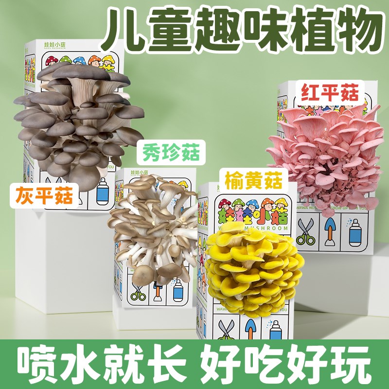 极速蘑菇种植包儿童种植蘑菇小盆栽学H校桌面趣味神奇植物家庭菌