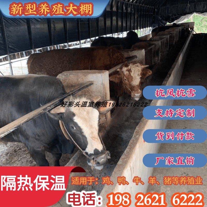 极速钢管椭圆管i鸭保温养鸡场猪舍骨架4I.7钢管架R大棚猪圈牛鹅养,农机/农具/农膜,温室大棚支架,淘宝优惠券,粉丝福利购,淘宝优惠卷