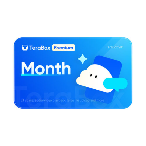 TeraBox Premium vip month  月卡