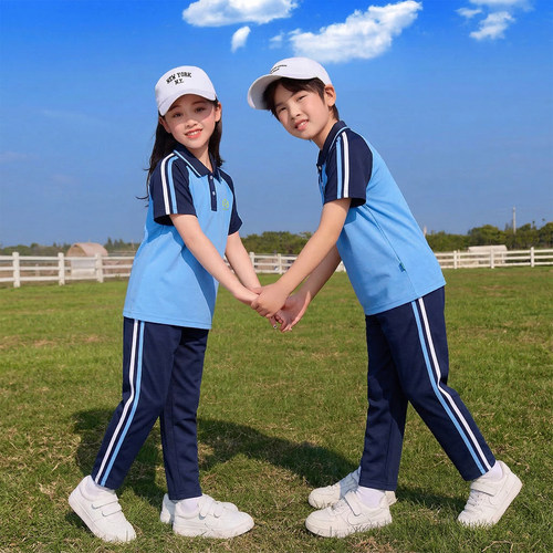 2026新款刺绣标惠东校服短袖