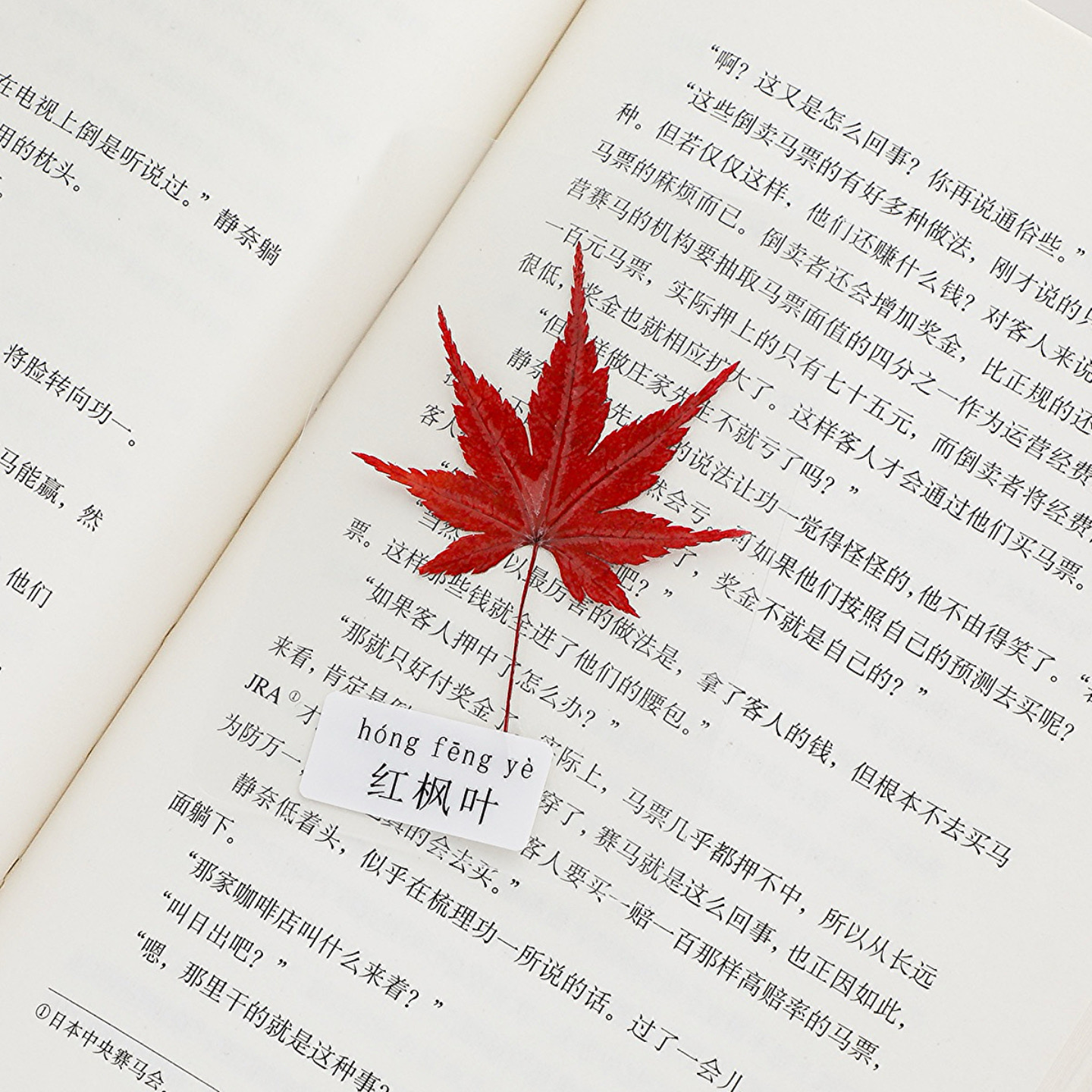 高颜值植物标本叶子书签i