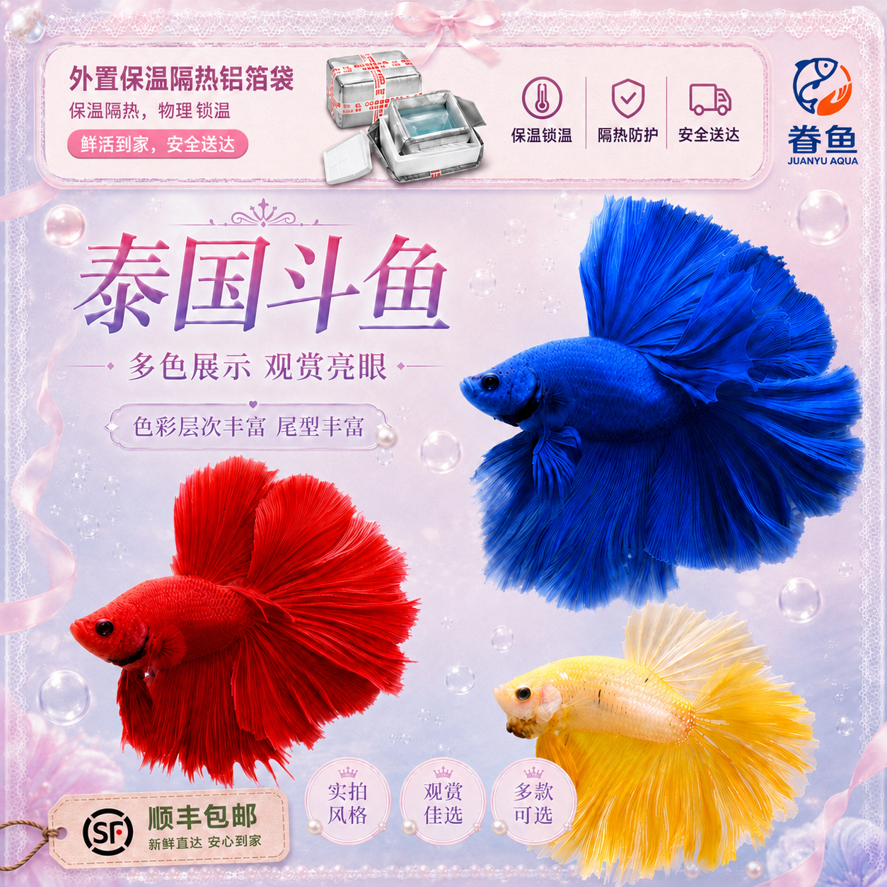 网红泰国斗鱼观赏鱼好养耐活一公一母小型淡水热带鱼练手婚纱鱼