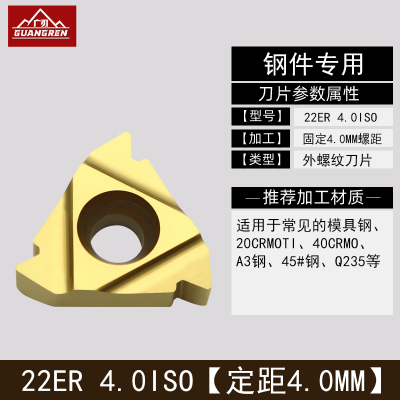 数控大号外螺纹刀片加工钢件专用外牙刀挑丝刀粒22ER N55/N60度