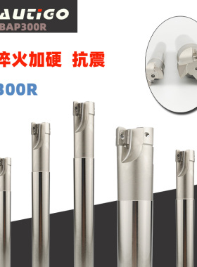 AUTIGO 数控铣刀杆 BAP300R 加硬抗震立铣刀杆 90度21/17R0.8直角