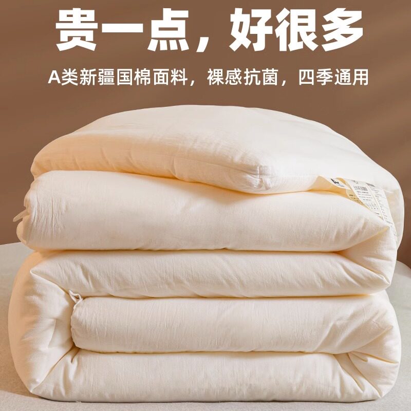 新品A类大豆纤维被子冬被加厚保暖D10斤家用纯棉被单人学生宿舍春