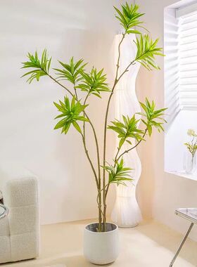 仿真高档花百合竹轻奢绿植仿生植物客厅电视柜落地装饰假盆栽摆件