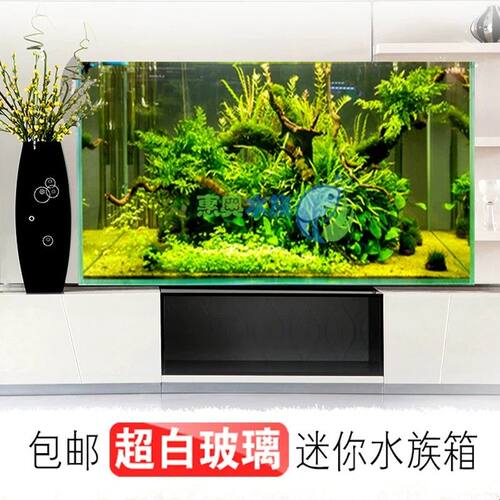 金晶超白溪流缸鱼缸 迷你水族箱 生态缸20/25cm 30-50厘米桌面缸