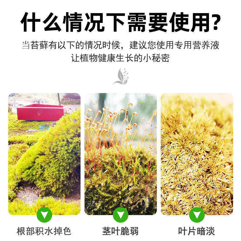 苔藓营养液专用肥盆栽微景观造景绿植生根液体治干枯黄叶增绿肥料,鲜花速递/花卉仿真/绿植园艺,家庭园艺肥料,淘宝优惠券,粉丝福利购,淘宝优惠卷