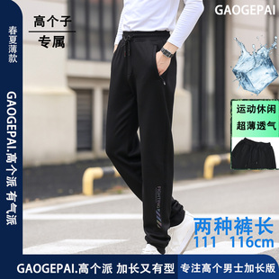 高个子加长116cm休闲运动裤 高瘦青年男2042 透气超薄直筒高腰修身