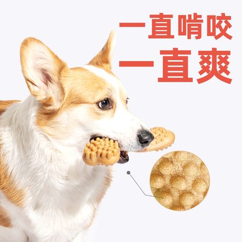 FOFOS狗狗玩具磨牙棒耐咬成幼犬洁齿鹿角两只福狸零食咬胶狗口臭