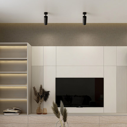 明装射灯可调角度led天花灯家用背景墙吸顶防眩光洗墙照画聚光灯