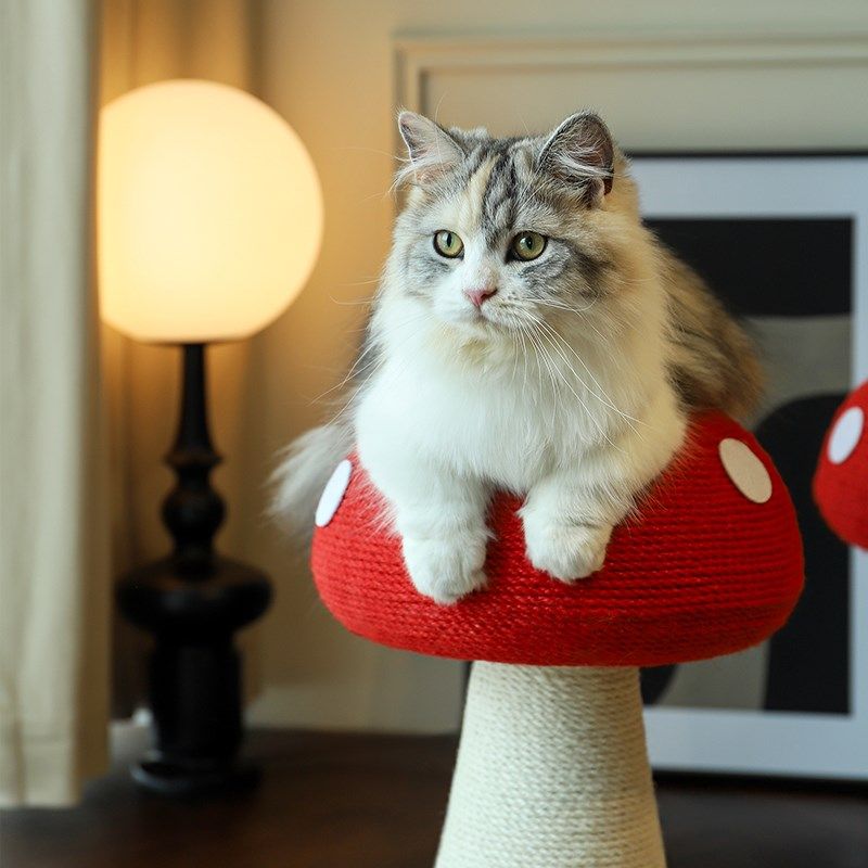 蘑菇剑麻绳猫咪抓板爬架柱防抓沙发不掉屑磨爪立式玩具宠物用品,宠物/宠物食品及用品,猫抓板,淘宝优惠券,粉丝福利购,淘宝优惠卷