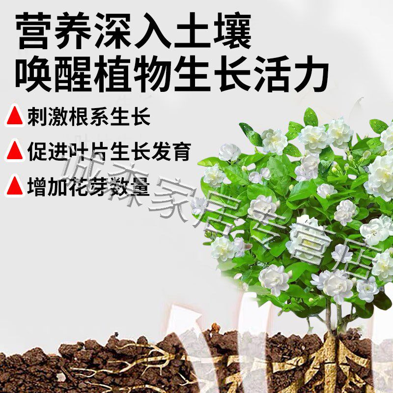 茉莉花复活液叶子发黄养花杀菌专用药肥快速爆花粉一喷绿生根药水
