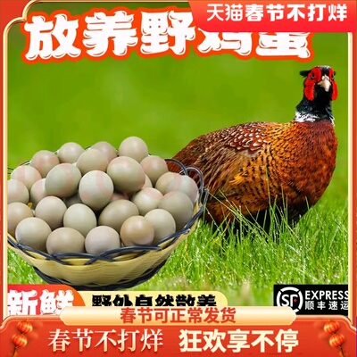 土鲜福七彩山野鸡土鸡蛋野鸡蛋