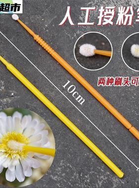 授粉笔罗汉果人工授粉工具西红柿黄瓜西瓜多肉点花授粉刷棒神器