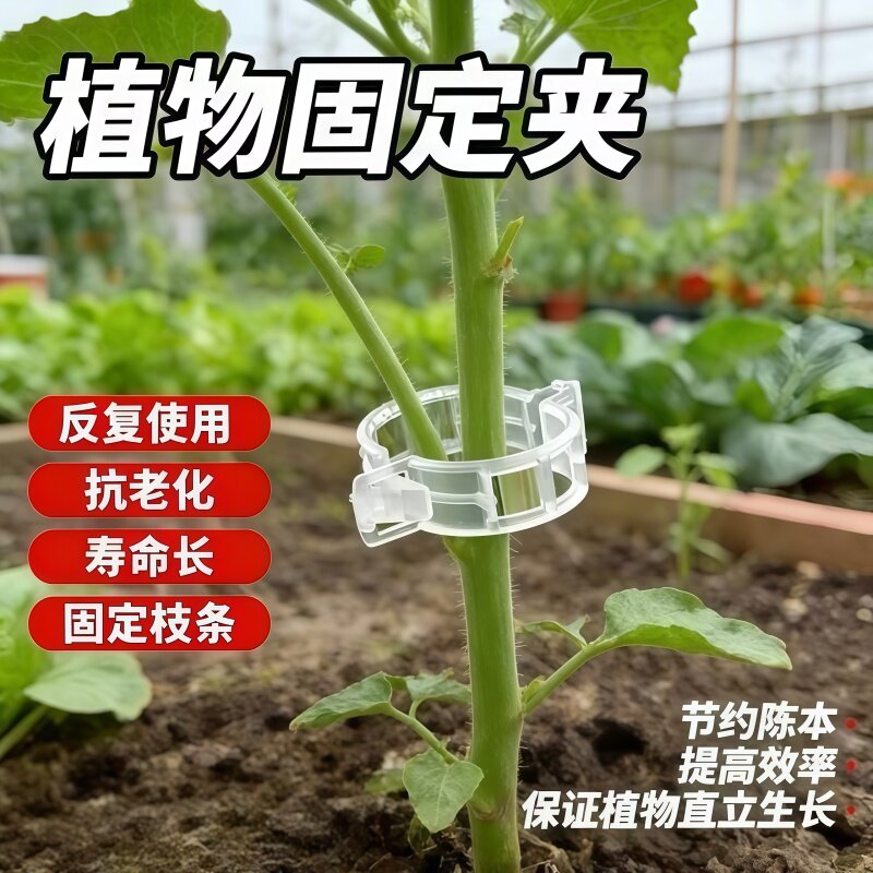 瓜果藤蔓固定夹植物扶蔓卡扣图片