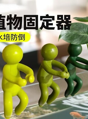 水培植物支撑架绿萝固定防倒伏