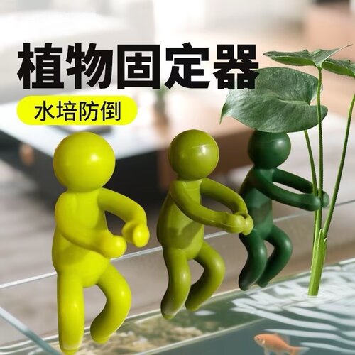 水培植物支撑架绿萝固定防倒伏