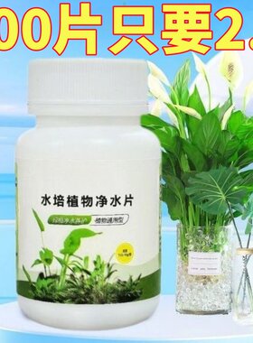 水培植物净水片除臭杀菌消毒