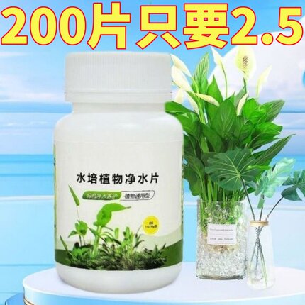 水培植物净水片除臭杀菌消毒富贵竹碗睡莲专用净化水质鲜花保鲜片