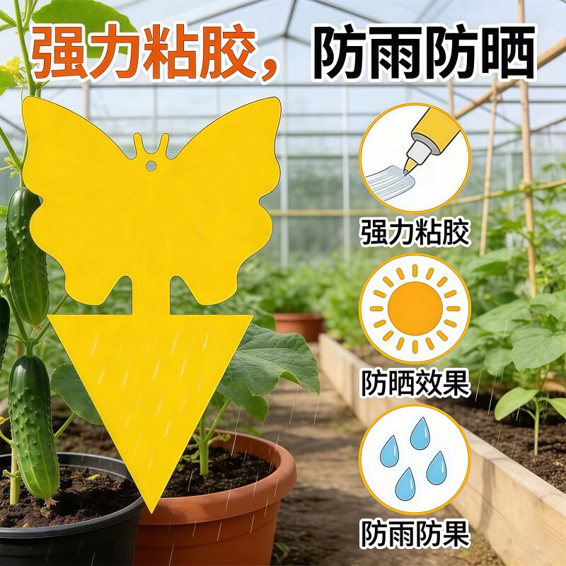 绿植粘虫板双面特粘园艺诱虫板