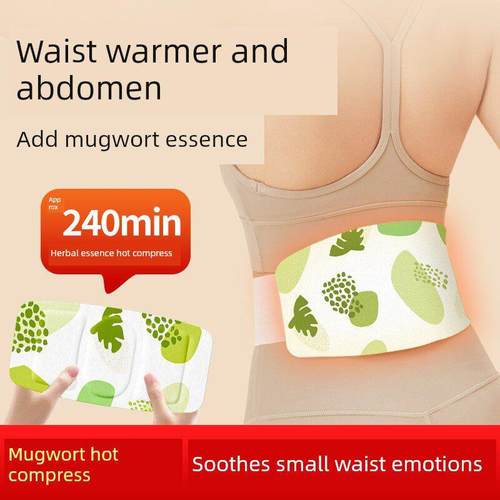 艾草暖腰贴片热敷带自热腰腹部贴片暖肚子暖宝宝蒸汽草药热敷12片