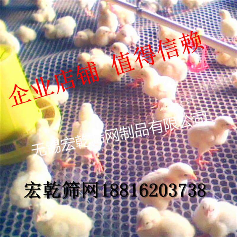 新品包邮纯原料养鸡养殖网塑料平网宠物脚尼龙垫网阳台防护网白色