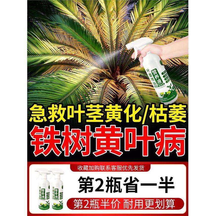铁树营养液绿植花卉专用肥料叶子发黄一喷绿室内户外通用型生根液