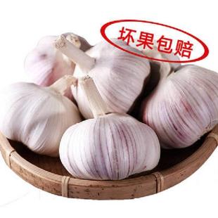 2024年坏果包赔大蒜头3斤5斤10斤河南杞县特产蒜头干蒜5斤紫皮