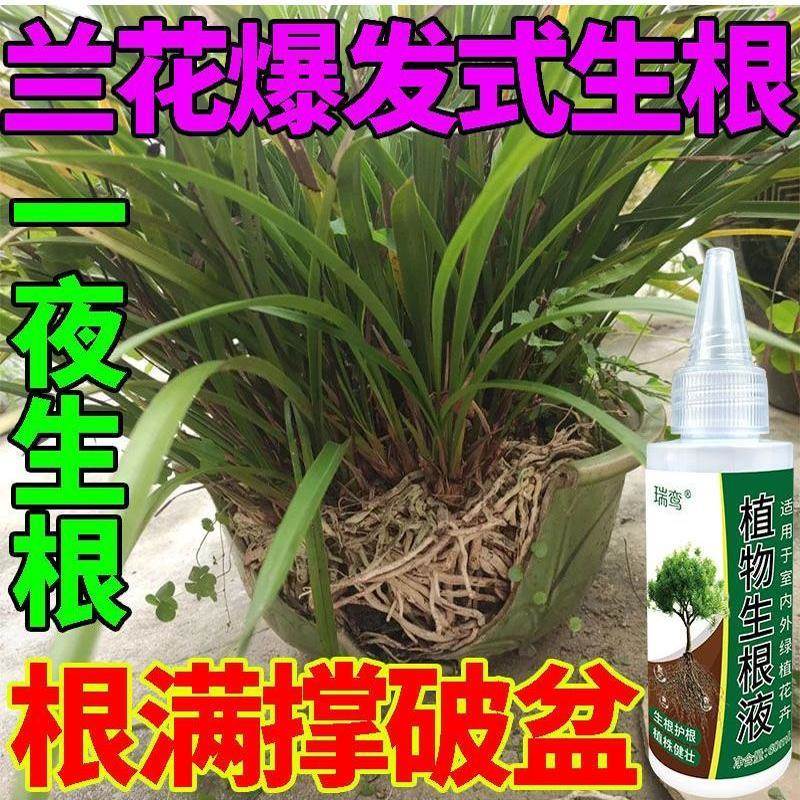 生根药水复活液枯树再生液【强力生根】兰花生根生根剂生根壮苗剂