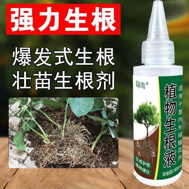 生根药水复活液枯树再生液【扦插神器】月季玫瑰生根剂生根壮苗剂